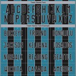 Custom Blue-Gray Line Uniform Sublimation Black Sports Soccer Pinstripe Panther Jersey