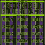 Pinstripe Custom Uniform Green Soccer Sublimation Jersey Black Line Purple-Neon Sports